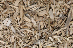 biomass boilers Balintraid